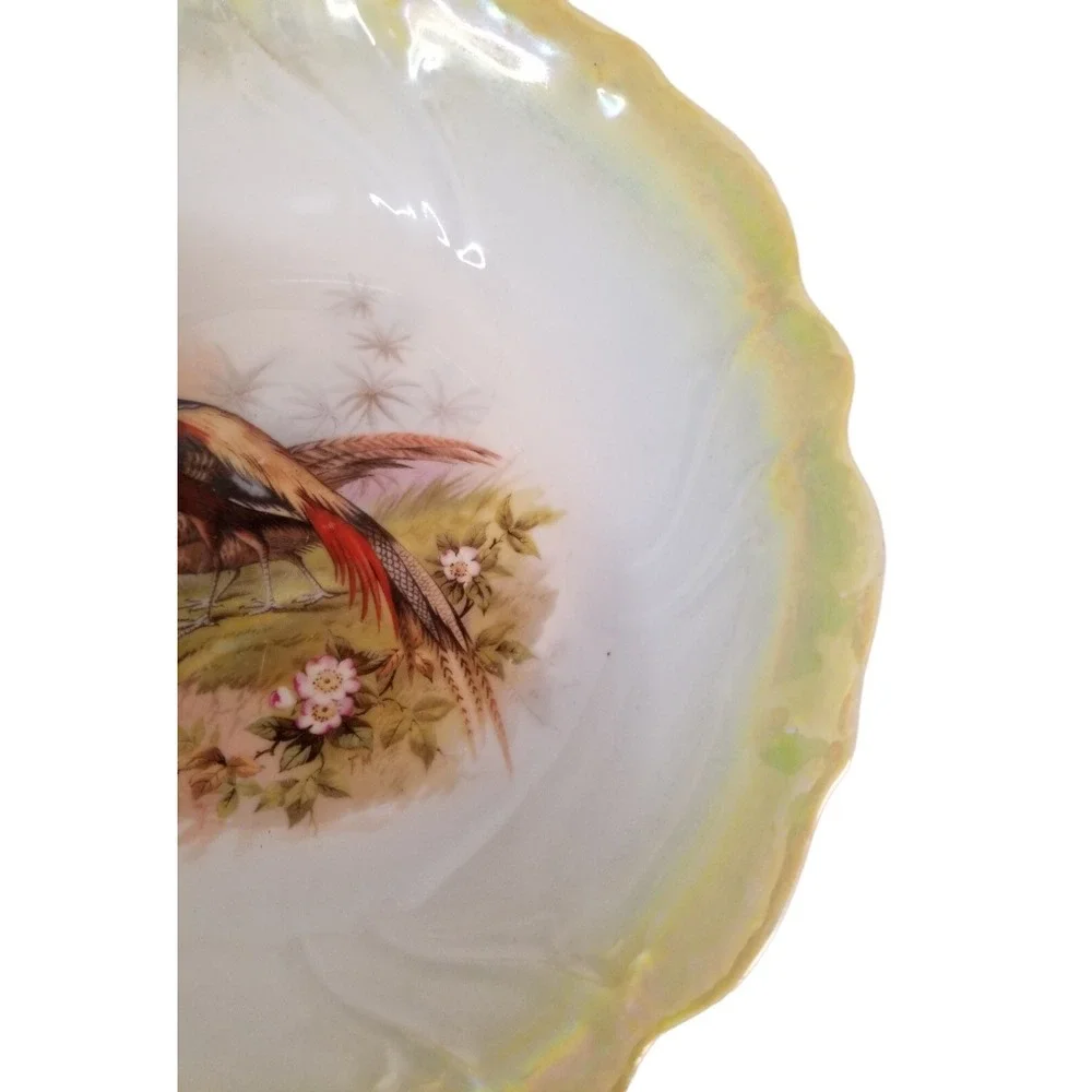 Vintage Porcelain RCW Bavaria Serving Bowl Pheasant Game Bird Yellow Lustreware
